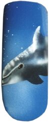 delphin_5_20070204_1675025628.jpg