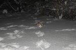 DSC_2589.jpg