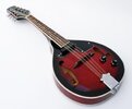 e-mandoline2.jpg