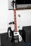 rickenbacker_small.jpg