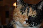 DSC_2405.jpg