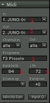 Midi Juno.jpg