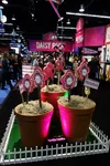 2011-01_Palm_Springs_und_NAMM-498.webp