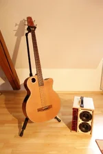 Bass und Goldemar.webp