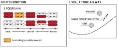 RG927PUPwiring.jpg RG927PUPwiring.jpg