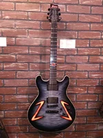 Framus - Mayfield Custom LED.webp