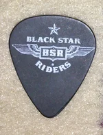 BSR-Plektrum.webp