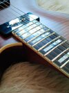 shinyFretboard.jpg shinyFretboard.jpg