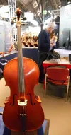 links cello.webp