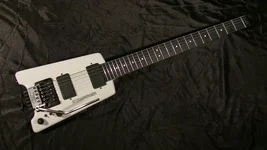 steinberger.webp