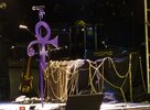 Prince-1.jpg Prince-1.jpg