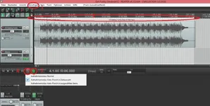 Reaper Loopaufnahme.webp