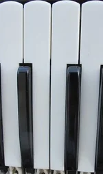 k-IMG_5762_1.webp