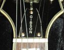 Epi-phone Gibson - Trussrod-Cover.jpg