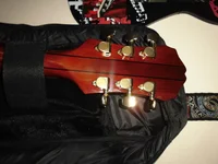 Epi-Headstock_back.webp