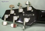 ibanez%u00252Bsz520fm%u00252Bheadstock%u00252Bflipside.webp