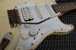 squier1.jpg