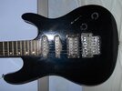 DSCN0106.jpg DSCN0106.jpg