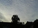 Paulahimmel.webp