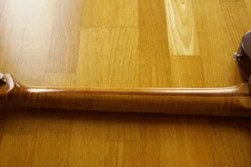 IMGP3962.webp