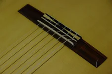 IMGP9800.webp