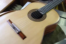 IMGP9813.webp