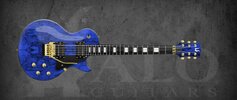 Blue LP Floyd Rose.jpg