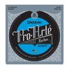 D`Addario EJ46FF.jpg D`Addario EJ46FF.jpg
