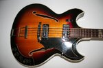 1Hofner_b.jpg