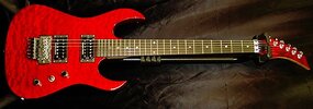sb-2_transred_7.jpg
