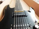 schecter5.jpg