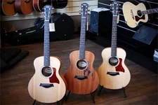 taylor-gs-mini.webp