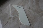 Pickguard 1.jpg Pickguard 1.jpg