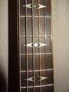 Griffbrett mit Abalone Inlays (600x800).jpg