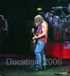 Steve Morse.jpg