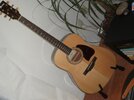 Ibanez AW30 Ansicht 1.JPG