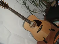 Ibanez AW30 Ansicht 1.webp