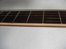 Ibanez AW30 Ansicht 11.JPG