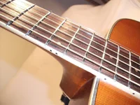ebay 9.webp
