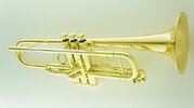 Carol-Brass-trumpet-8060h.jpg