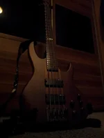 newbass.webp