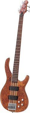 Harley benton hbb5000 BASS.jpg