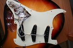 Strat Pickup 01.jpg