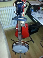 Banjo.webp