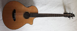 Breedlove-Solo-Bass.jpg