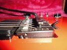 Steinberger KB-Trem_01.JPG