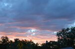 DSC_0538.JPG
