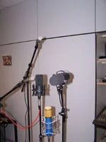 Gesangsmikros_03.webp