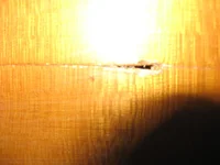 Riss Detail.webp