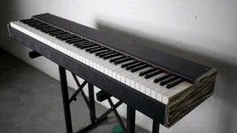 P1070329_klein.webp